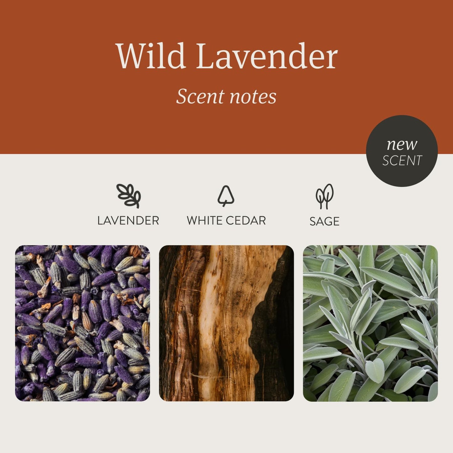 Drift Wild Lavender Scented Premium Candle - 10.5 oz, 60 Day Burn Time