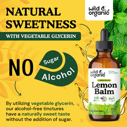 Wild & Organic Lemon Balm Tincture – Mood Support, Melissa Leaf Extract Drops, Vegan, Sugar & Alcohol-Free, 4 fl oz
