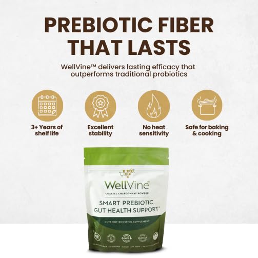 WellVine Premium Smart Prebiotic Gut Health Supplement Powder for Men & Women | Digestive Support & Gut Health With 100% Upcycled Chardonnay Grapes | Plant-Based, Gluten and Allergen-Free | 4.75Oz