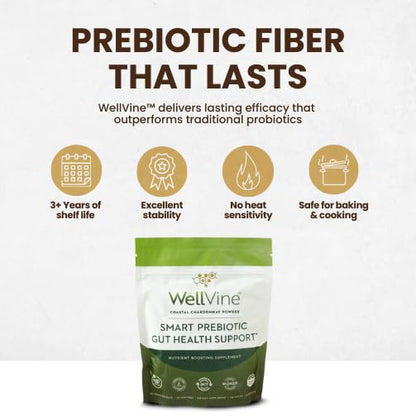 WellVine Premium Smart Prebiotic Gut Health Supplement Powder for Men & Women | Digestive Support & Gut Health With 100% Upcycled Chardonnay Grapes | Plant-Based, Gluten and Allergen-Free | 4.75Oz