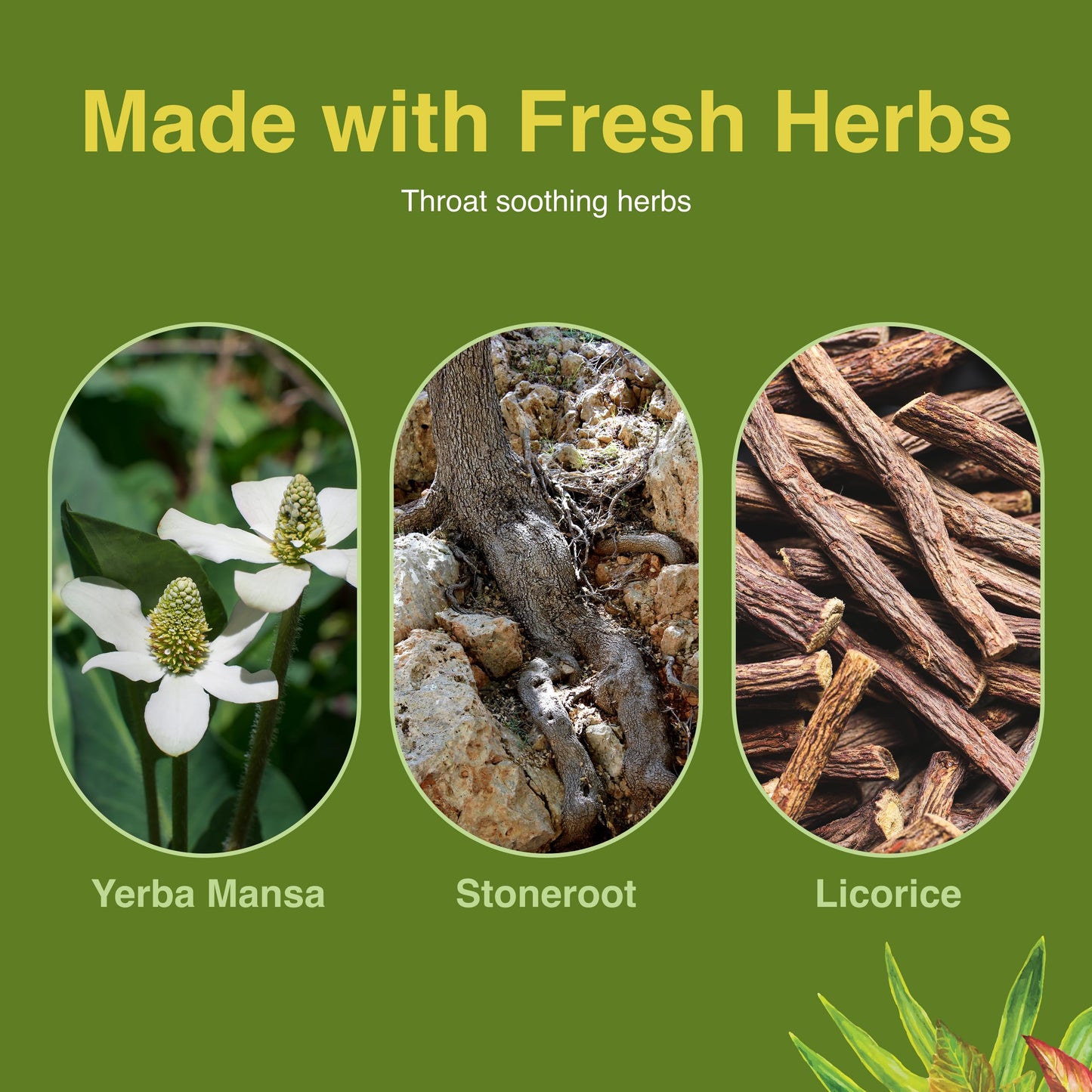 Herbs Etc. Singer's Saving Grace Honey Lemon – Herbal Throat Spray (1 oz)