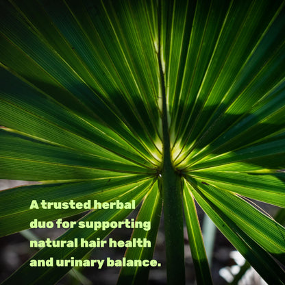 Saw Palmetto + Pumpkin Seed – 300 Capsules | Prostate Health & Hair Support