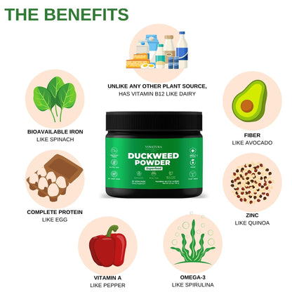 VINATURA Duckweed Powder – Duckweed Supplement & Digestive Health Superfood (Wolffia Globosa)
