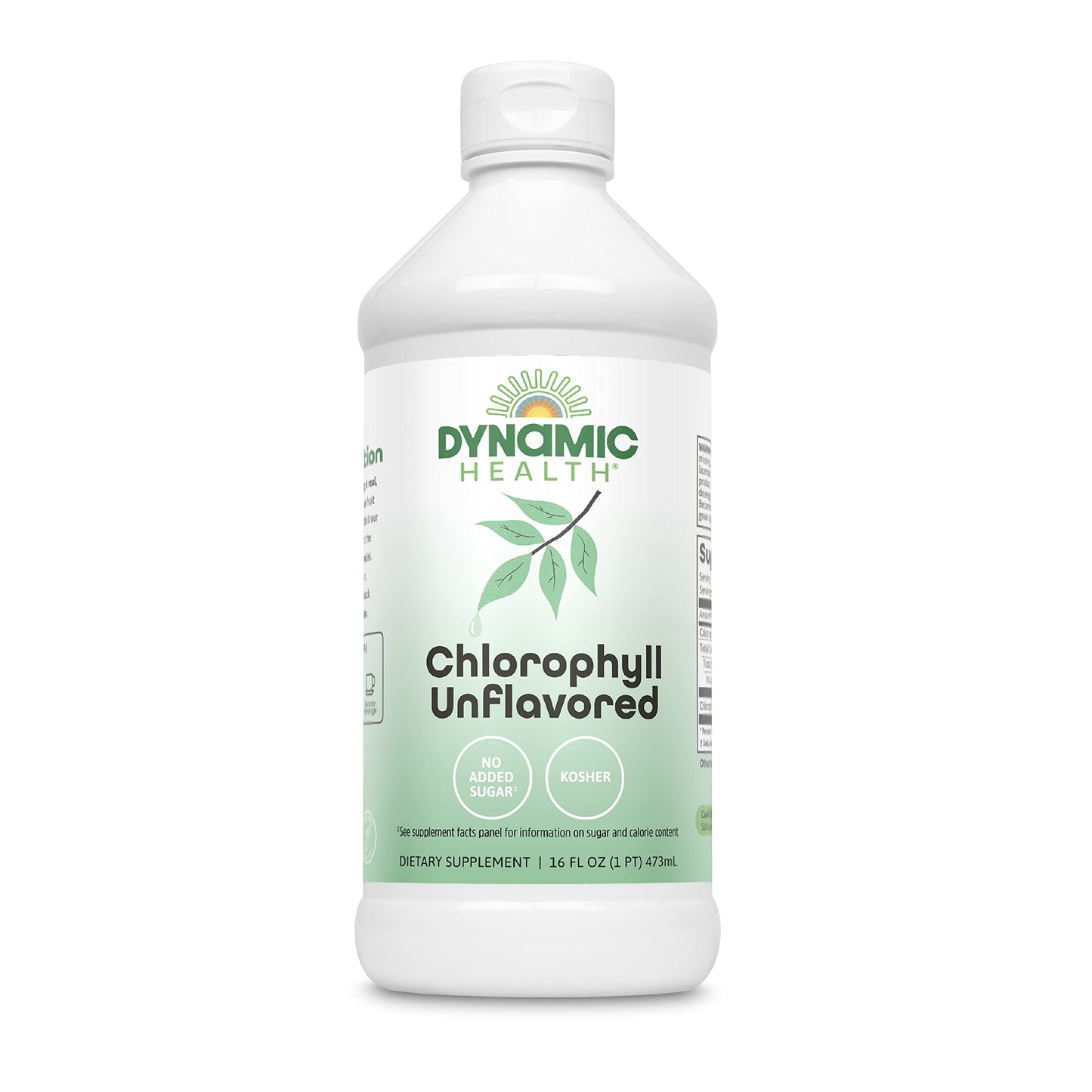 Dynamic Health Liquid Chlorophyll Unflavored 100 mg | Chlorophyllin with Alfalfa & Mulberry Leaves | 16 Fl Oz