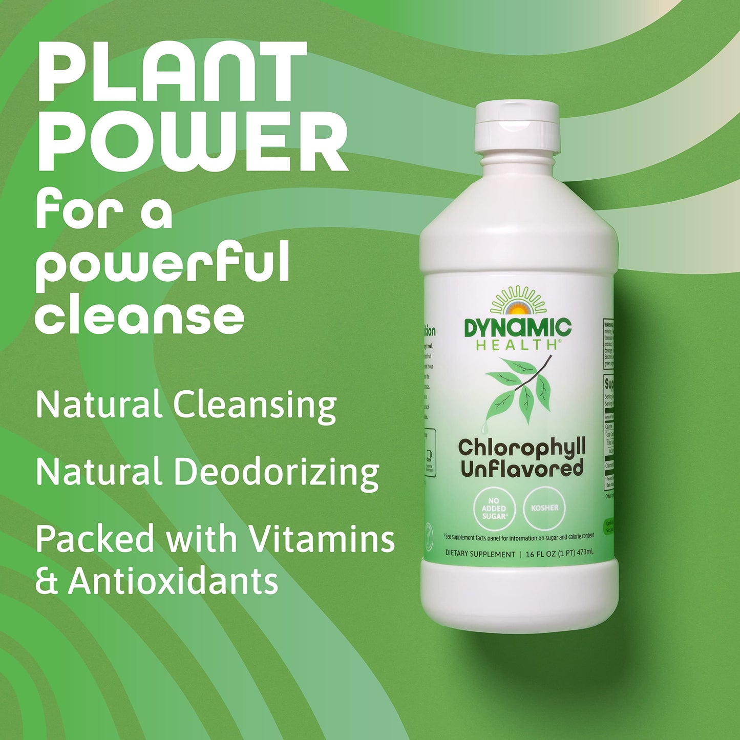 Dynamic Health Liquid Chlorophyll Unflavored 100 mg | Chlorophyllin with Alfalfa & Mulberry Leaves | 16 Fl Oz