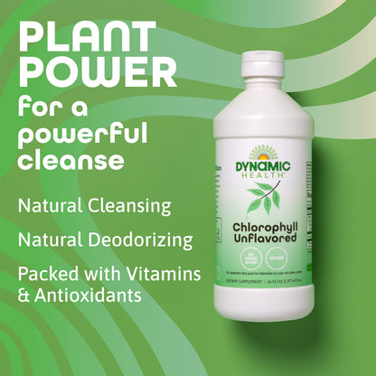 Dynamic Health Liquid Chlorophyll Unflavored 100 mg | Chlorophyllin with Alfalfa & Mulberry Leaves | 16 Fl Oz