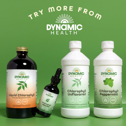 Dynamic Health Liquid Chlorophyll Unflavored 100 mg | Chlorophyllin with Alfalfa & Mulberry Leaves | 16 Fl Oz