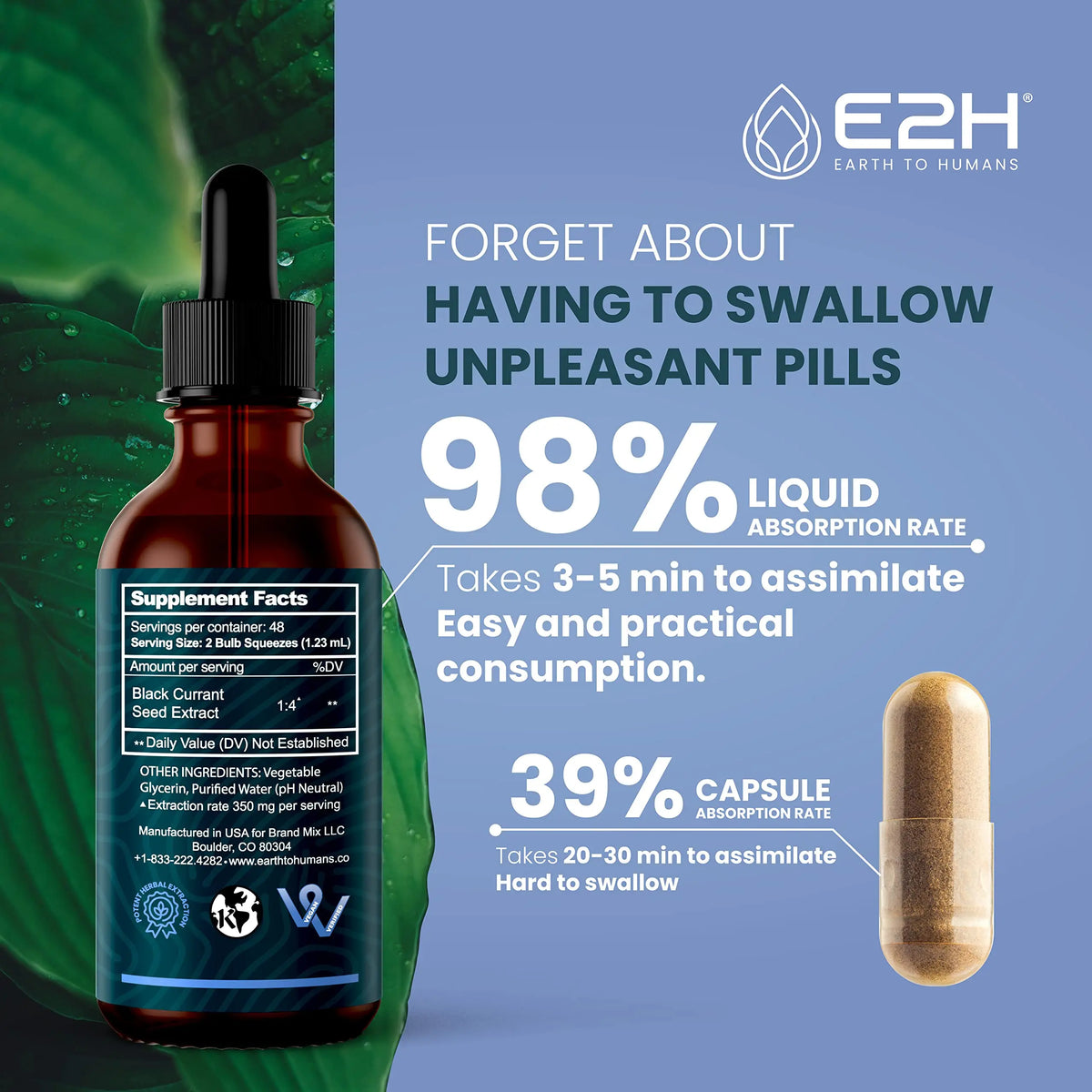 E2H Natural Black Currant Extract – Cold Pressed Seed, Immune Support, Fast-Absorbing Liquid (2 Bottles) BritishVita | Premium UK Vitamins & Wellness Supplements