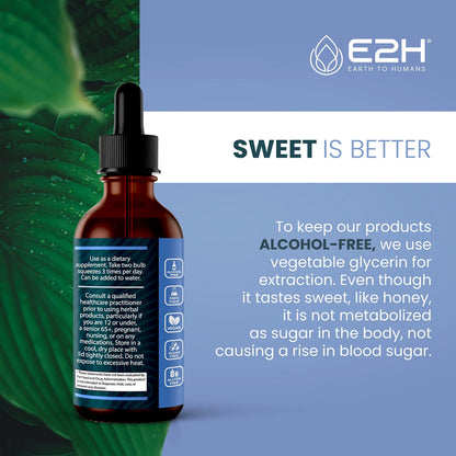 E2H Natural Black Currant Extract – Cold Pressed Seed, Immune Support, Fast-Absorbing Liquid (2 Bottles) BritishVita | Premium UK Vitamins & Wellness Supplements