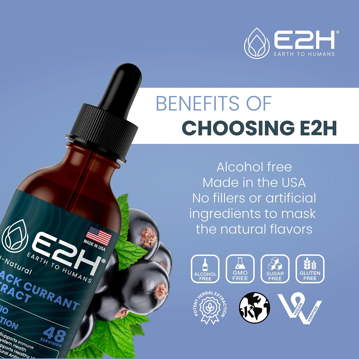 E2H Natural Black Currant Extract – Cold Pressed Seed, Immune Support, Fast-Absorbing Liquid (2 Bottles) BritishVita | Premium UK Vitamins & Wellness Supplements