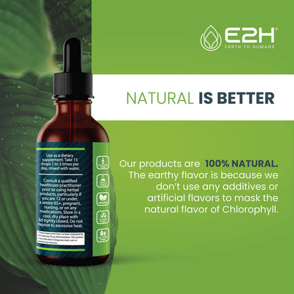 E2H Chlorophyll Liquid Drops - All-Natural Energy Booster & Immune Support (2 oz)