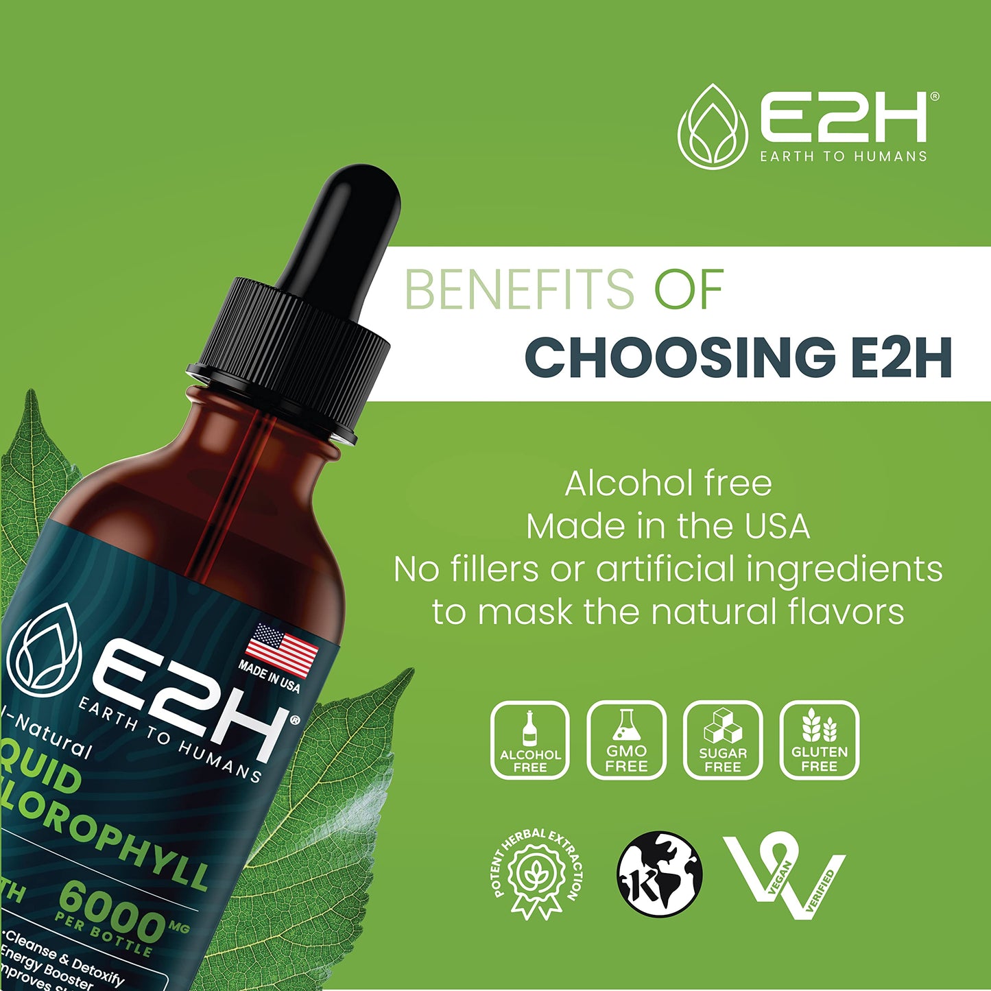 E2H Chlorophyll Liquid Drops - All-Natural Energy Booster & Immune Support (2 oz)