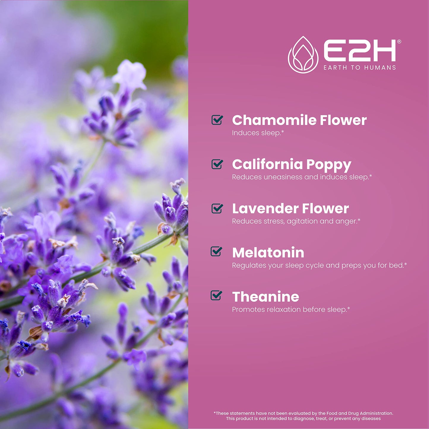 E2H Natural Sleep Support – Liquid Melatonin with Chamomile & L-Theanine (2 oz)