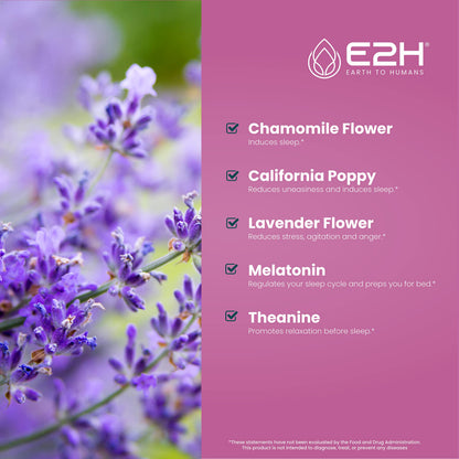 E2H Natural Sleep Support – Liquid Melatonin with Chamomile & L-Theanine (2 oz)