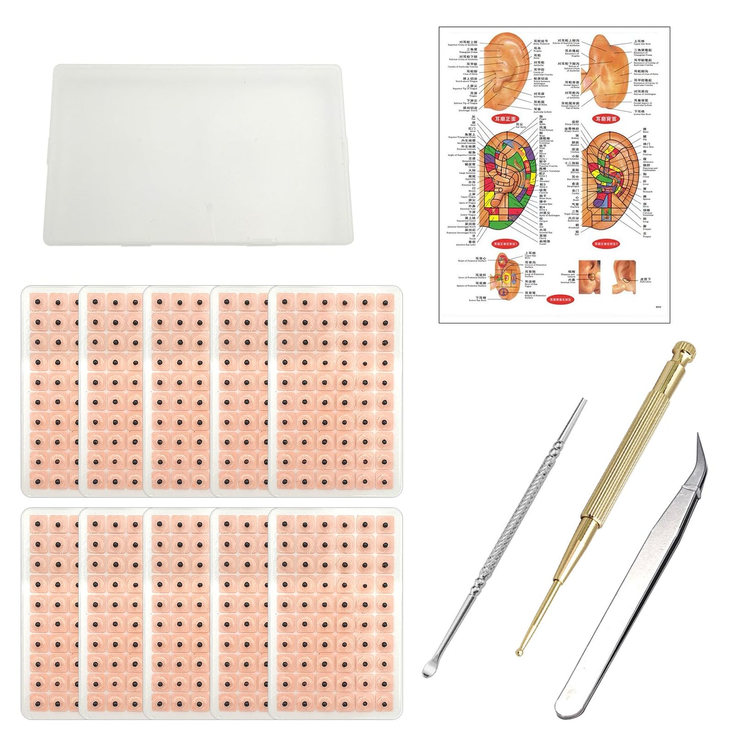 Ear Seeds Acupuncture Kit – 600 Pcs with Ear Points Chart & Tweezers