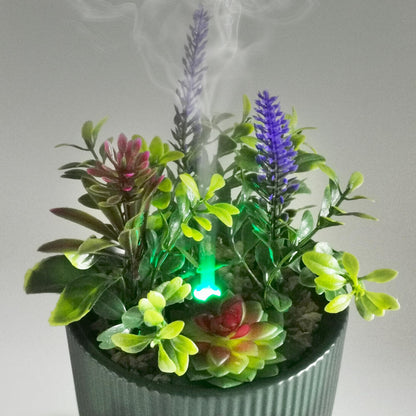 Earnest Living Ceramic Essential Oil Diffuser 100 ml – Aromatherapy Diffuser with Night Light & Auto Shut-Off