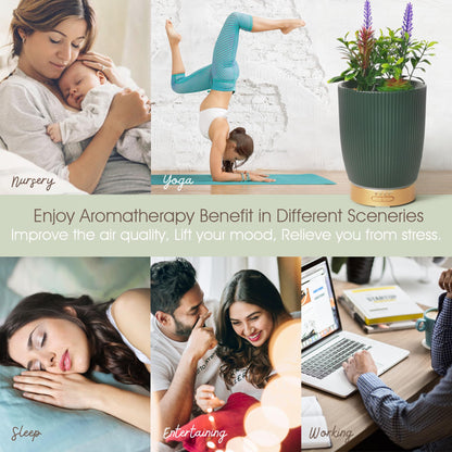 Earnest Living Ceramic Essential Oil Diffuser 100 ml – Aromatherapy Diffuser with Night Light & Auto Shut-Off