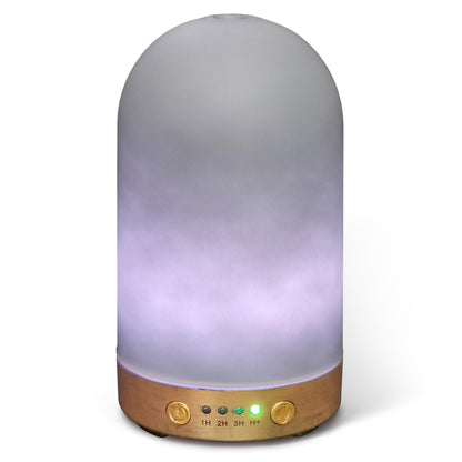 Earnest Living 100 ml Essential Oil Diffuser – Ultrasonic, Auto Off, 4 Timers