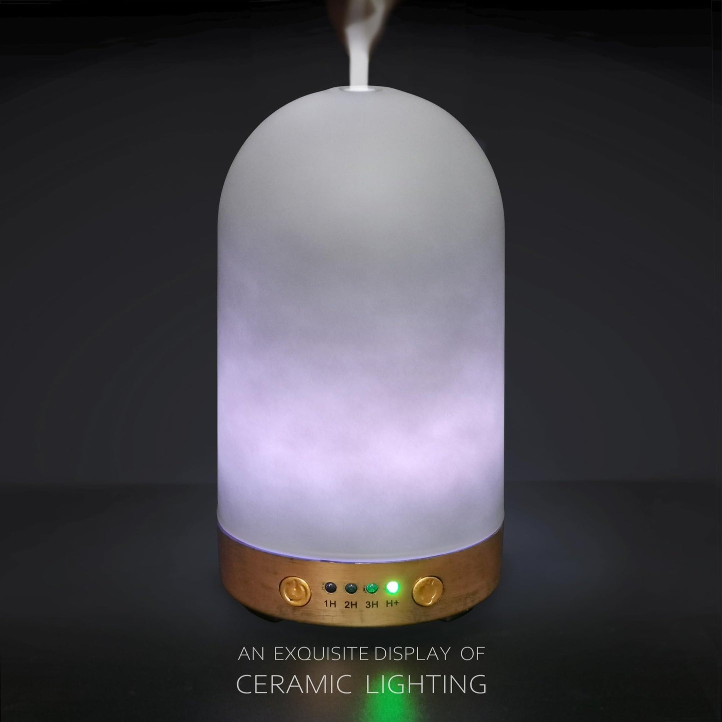 Earnest Living 100 ml Essential Oil Diffuser – Ultrasonic, Auto Off, 4 Timers