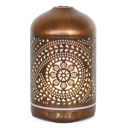Earnest Living 250 ml Metal Essential Oil Diffuser with Auto-Off and Night Light