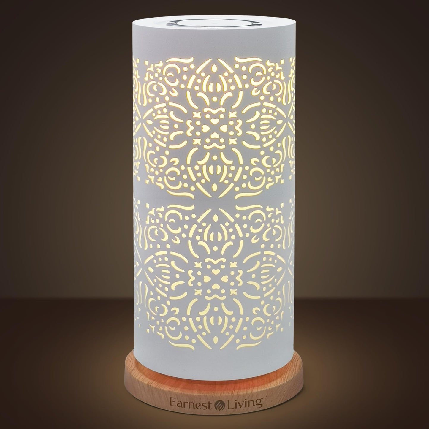 Earnest Living Waterless Diffuser 100ml – Nebulizing Diffusion for Studio, Home, Office