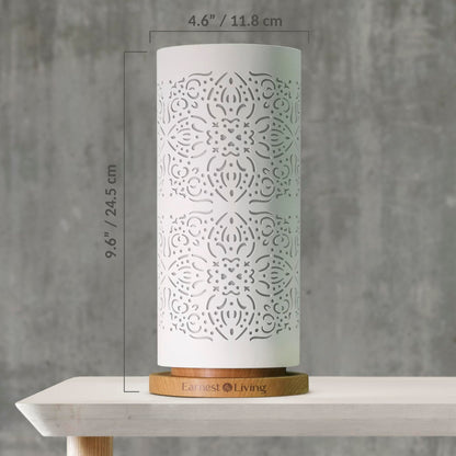 Earnest Living Waterless Diffuser 100ml – Nebulizing Diffusion for Studio, Home, Office