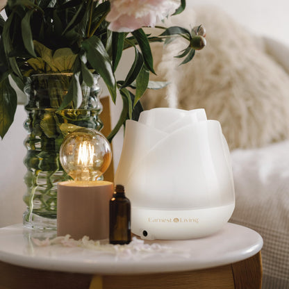 Earnest Living Rose Diffuser 150ml – Mini USB Ultrasonic Humidifier, Quiet Night Light