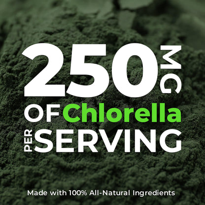 Earth Circle Organics Organic Chlorella Tablets 1000 Count | High Potency Chlorophyll Supplement | Broken Cell Wall for Absorption | Vegan, Kosher, Non-GMO | Pack of 3
