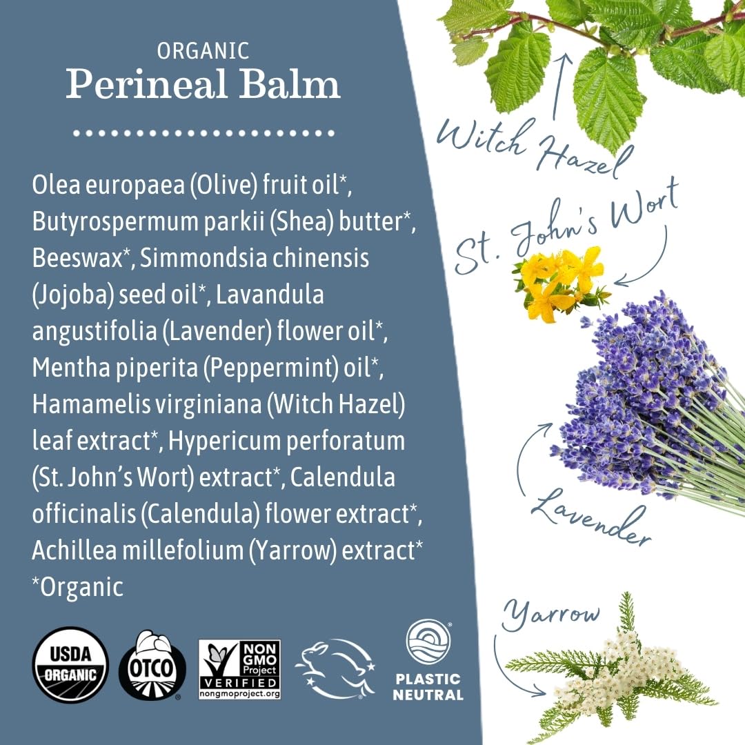 Earth Mama Organic Perineal Balm – Cooling Herbal Salve for Pregnancy & Postpartum | 2 fl oz