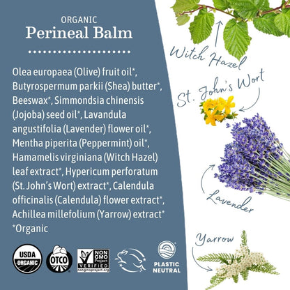 Earth Mama Organic Perineal Balm – Cooling Herbal Salve for Pregnancy & Postpartum | 2 fl oz