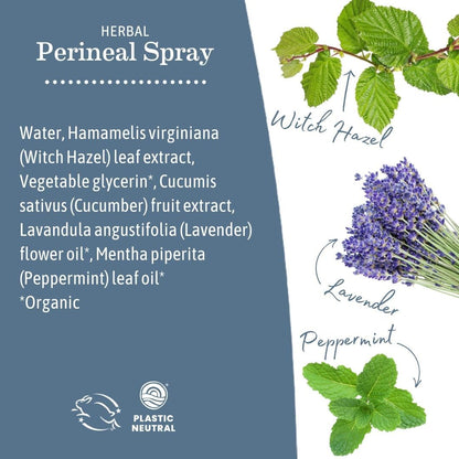 Earth Mama Postpartum Recovery Kit – Take Care Down There with Organic Perineal Balm & Herbal Perineal Spray (2-Piece)