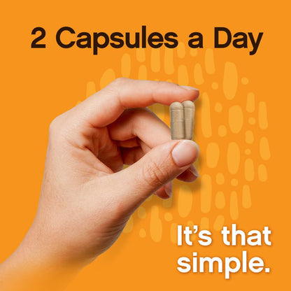 Earthiva Mushroom Complex Supplement – 60 Capsules | 10-in-1 Blend