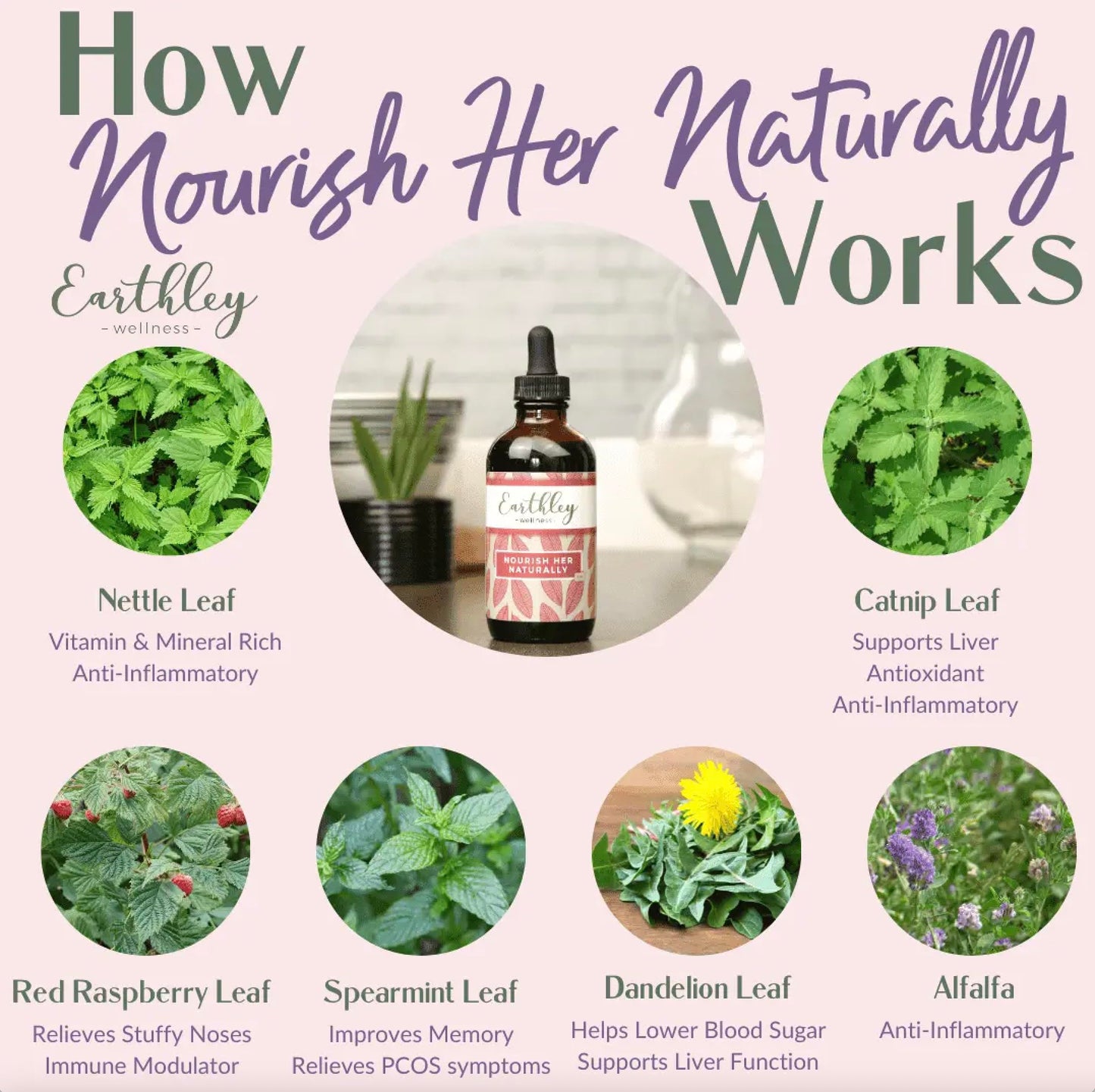 Earthley Nourish Her Naturally – Liquid Botanical Multivitamin for Women (4oz) | Energy & Gut Health