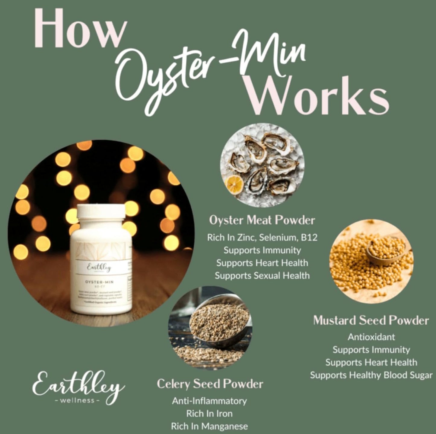 Earthley Oyster-Min Capsules – Natural Zinc & Mineral Supplement for Energy