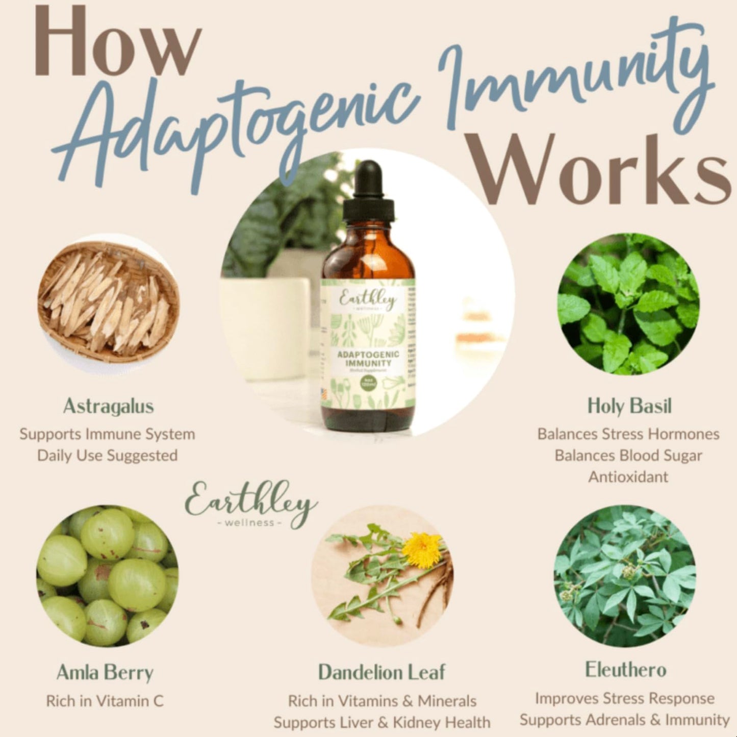 Earthley Wellness Adaptogenic Immunity – Immune Support, 2oz