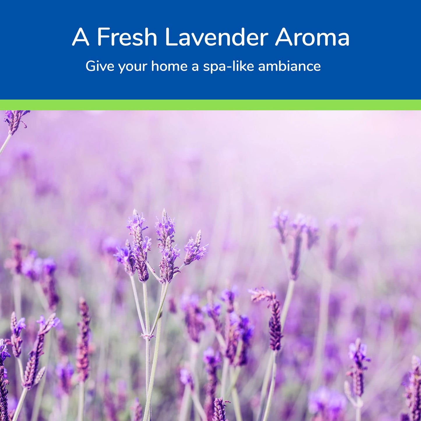 Earth's Care Lavender Oil - Pure Steam Distilled 100% Lavender Essential Oil for Diffuser & Aromatherapy