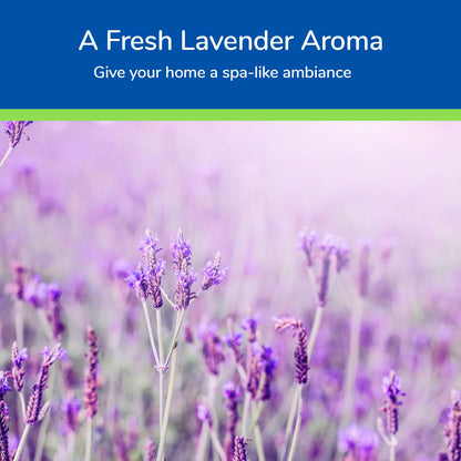 Earth's Care Lavender Oil - Pure Steam Distilled 100% Lavender Essential Oil for Diffuser & Aromatherapy