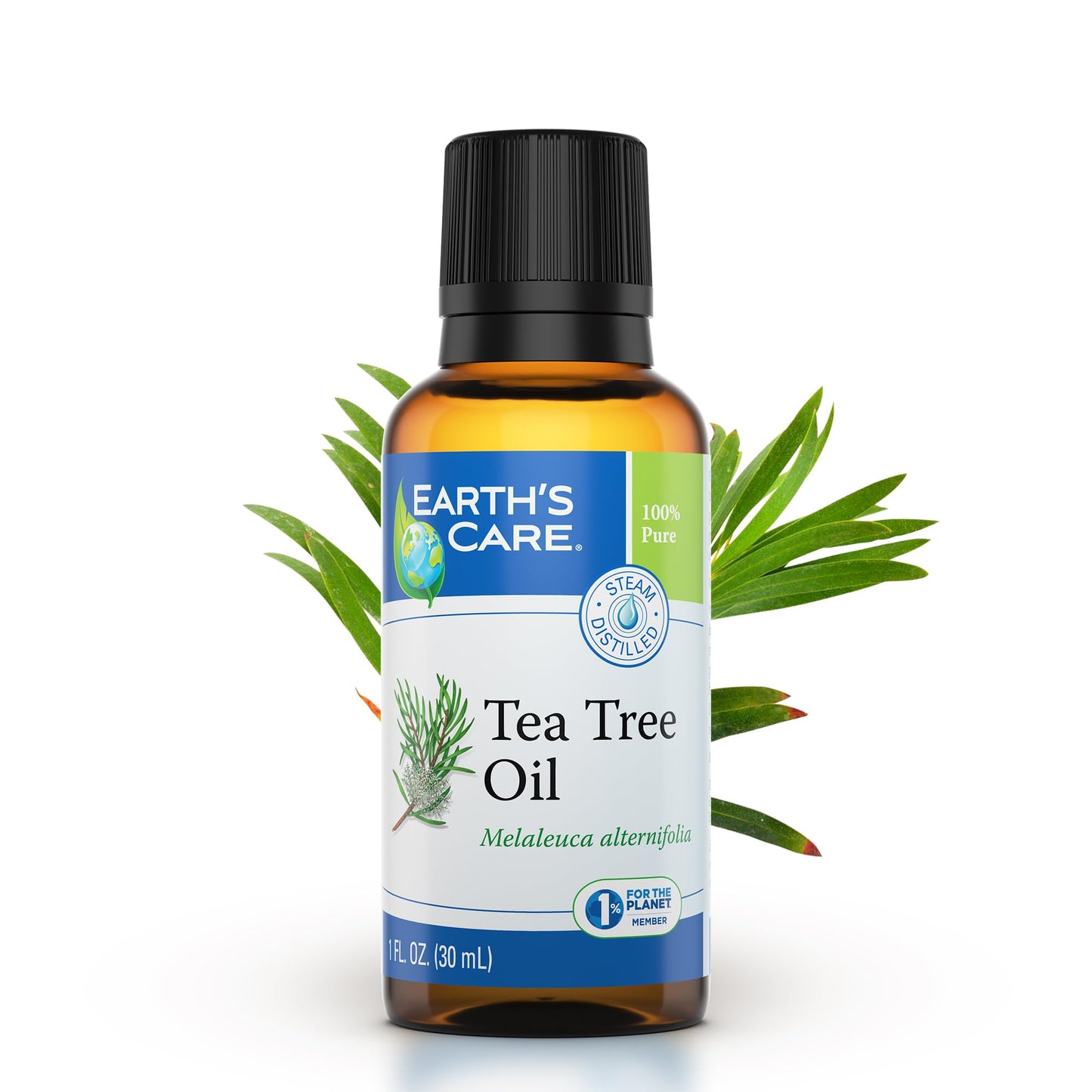 Earth’s Care Tea Tree Oil – 100% Pure Australian Steam-Distilled Essential Oil for Aromatherapy