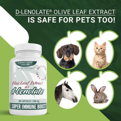 East Park Olive Leaf Extract (OLE) d-Lenolate 500mg | Immune Support | 180 Veg Capsules