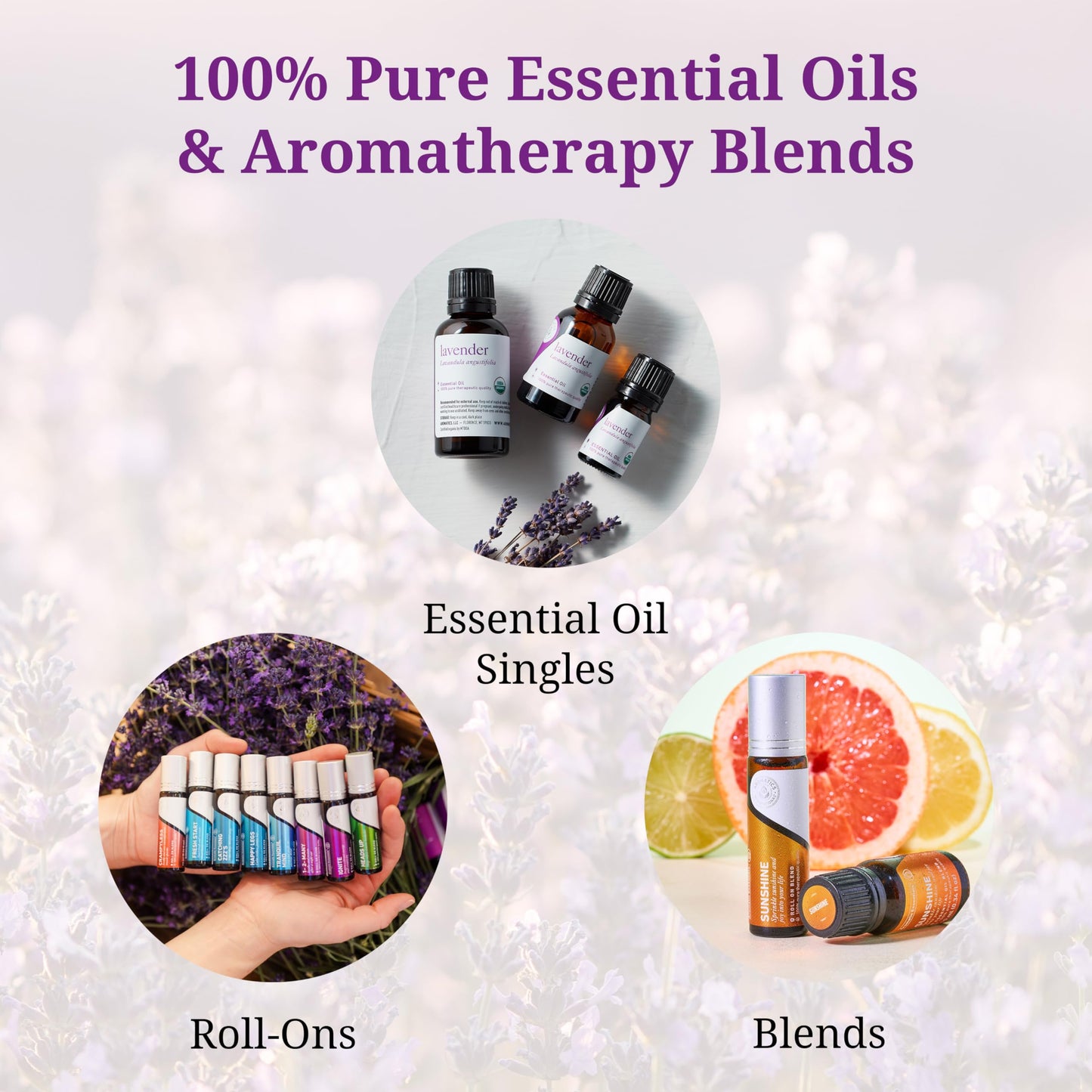 Aromatics International Norway Pine Essential Oil 5ml – 100% Pure & Organic