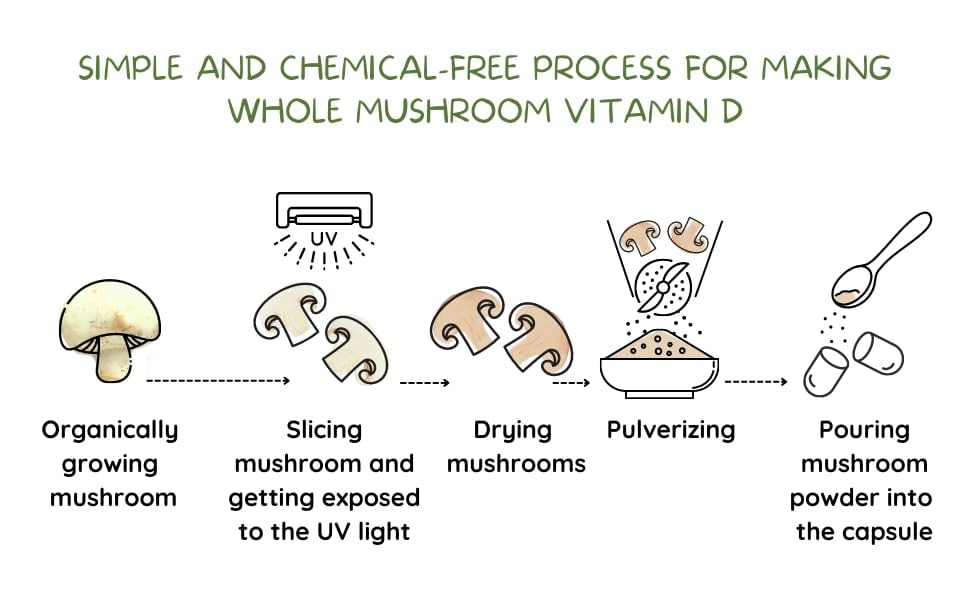 EAT INTACT Vegan Vitamin D 2000 IU | Organic Whole Mushroom, Two-Ingredient
