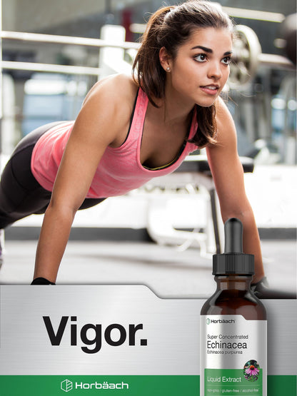 Horbaach Echinacea Drops Tincture - 2 fl oz | Alcohol-Free, Vegetarian, Non-GMO & Gluten Free