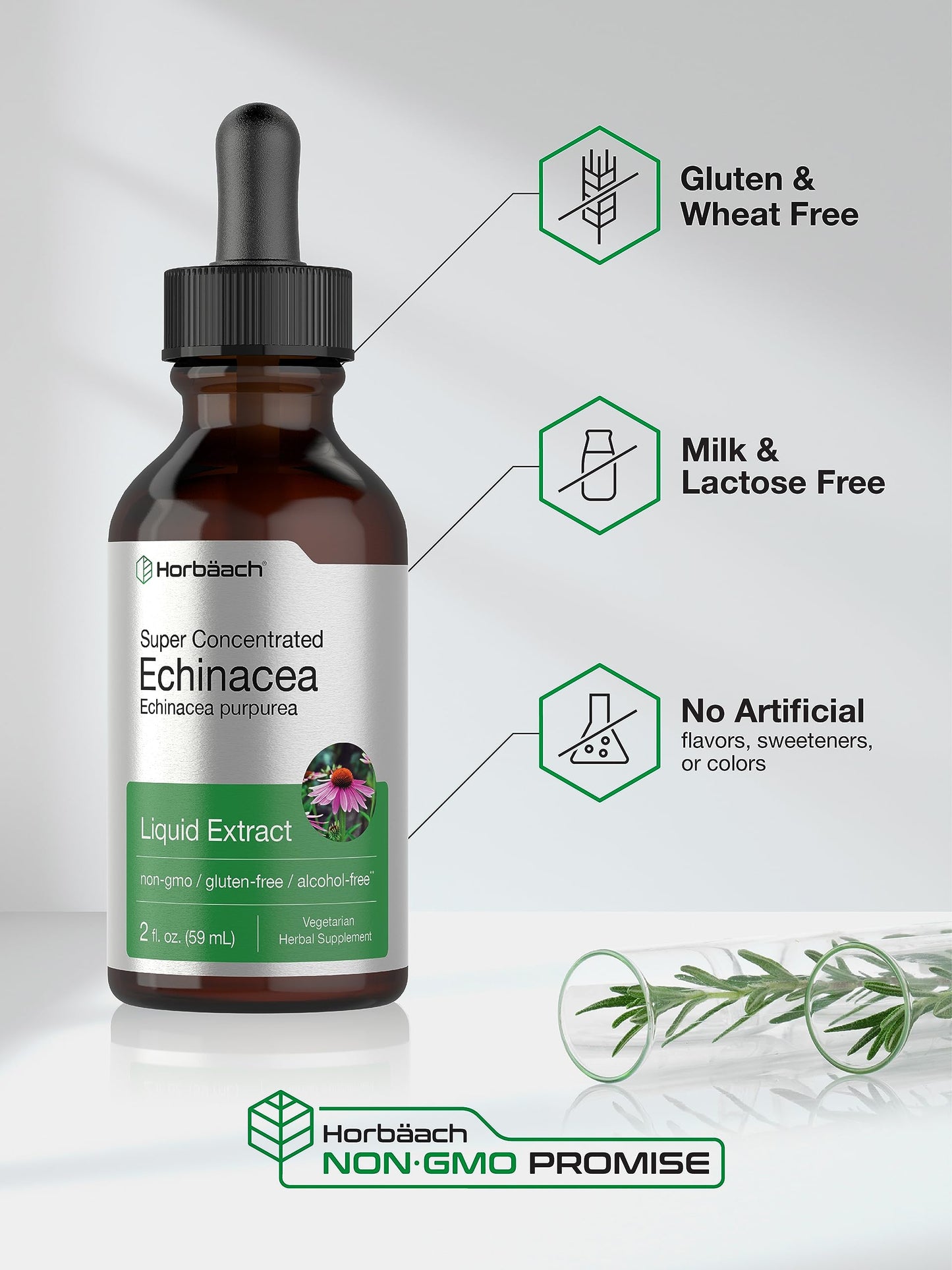 Horbaach Echinacea Drops Tincture - 2 fl oz | Alcohol-Free, Vegetarian, Non-GMO & Gluten Free