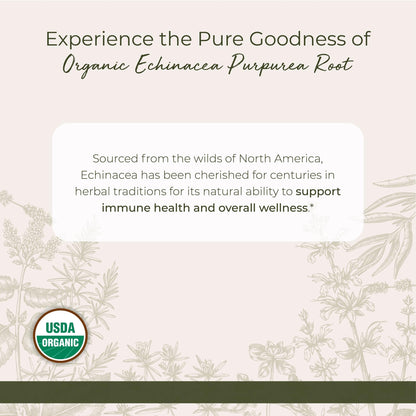 Starwest Botanicals Organic Echinacea Purpurea Root Powder – 4 oz Pouch | Kosher, Non-GMO