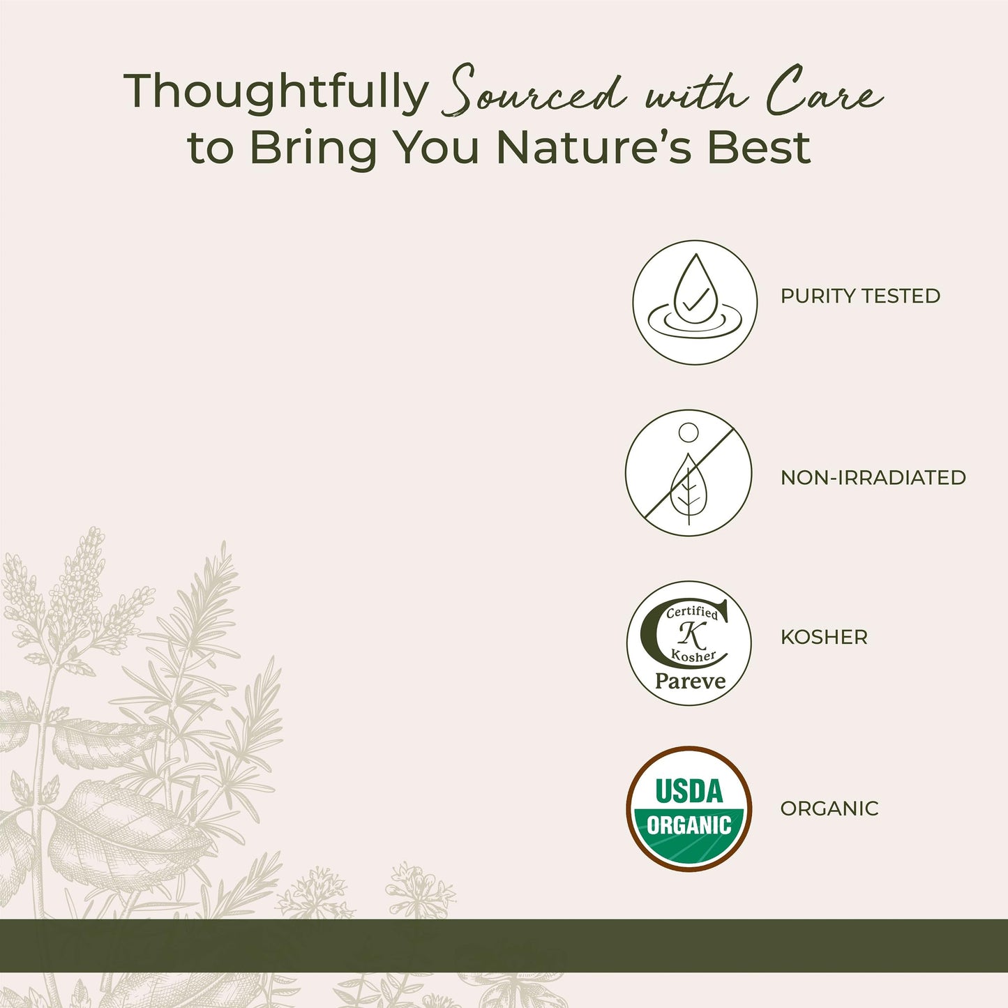 Starwest Botanicals Organic Echinacea Purpurea Root Powder – 4 oz Pouch | Kosher, Non-GMO