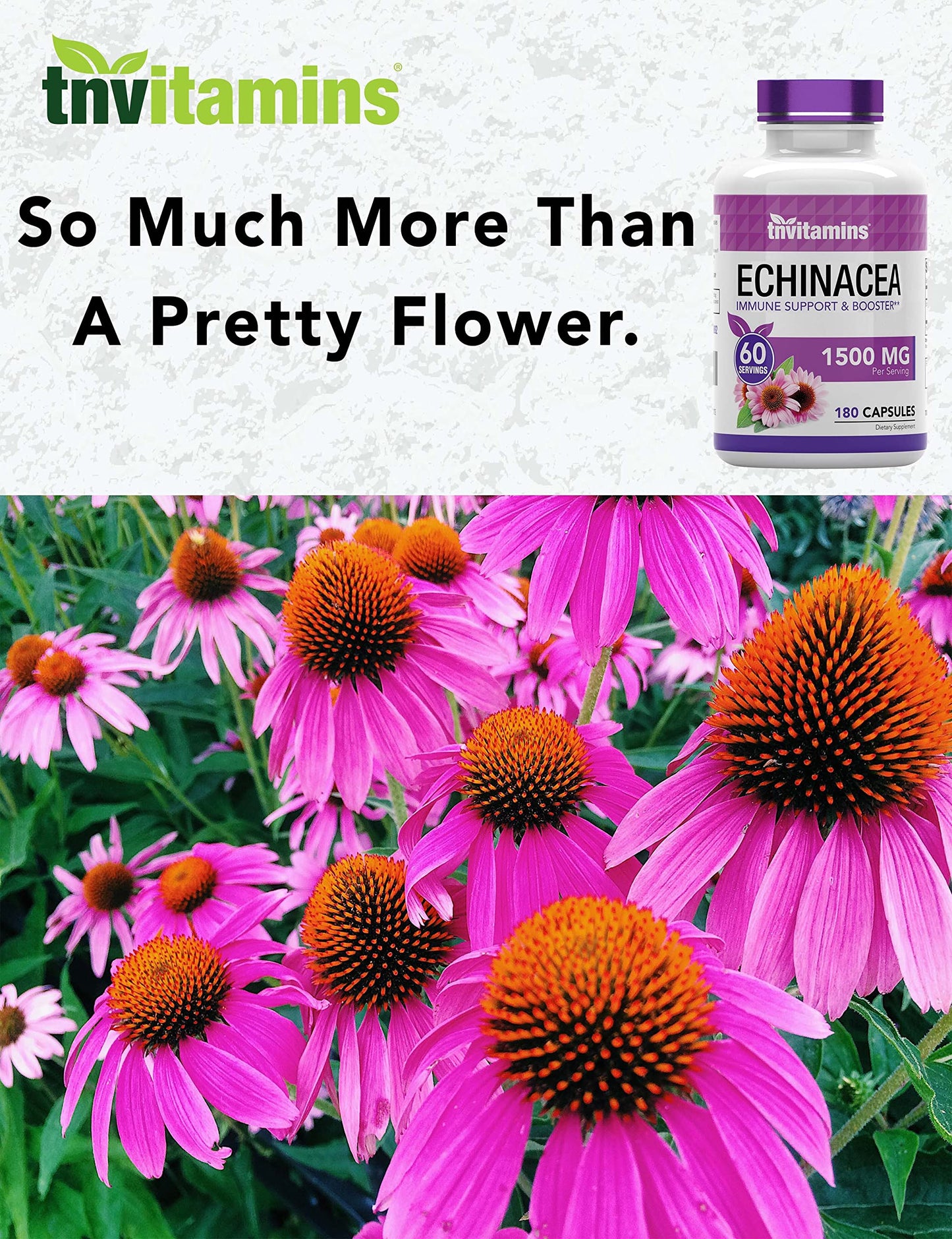 TNVitamins Echinacea Capsules | 1500 mg per Serving, 180 Capsules | USA Made | Pack of 2