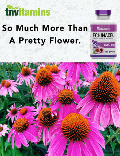 TNVitamins Echinacea Capsules | 1500 mg per Serving, 180 Capsules | USA Made | Pack of 2