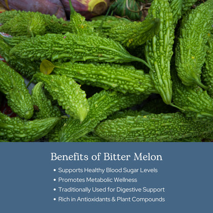 Eclectic Institute Bitter Melon 90 CT | Raw Freeze-Dried 200 mg | Non-GMO, Vegan