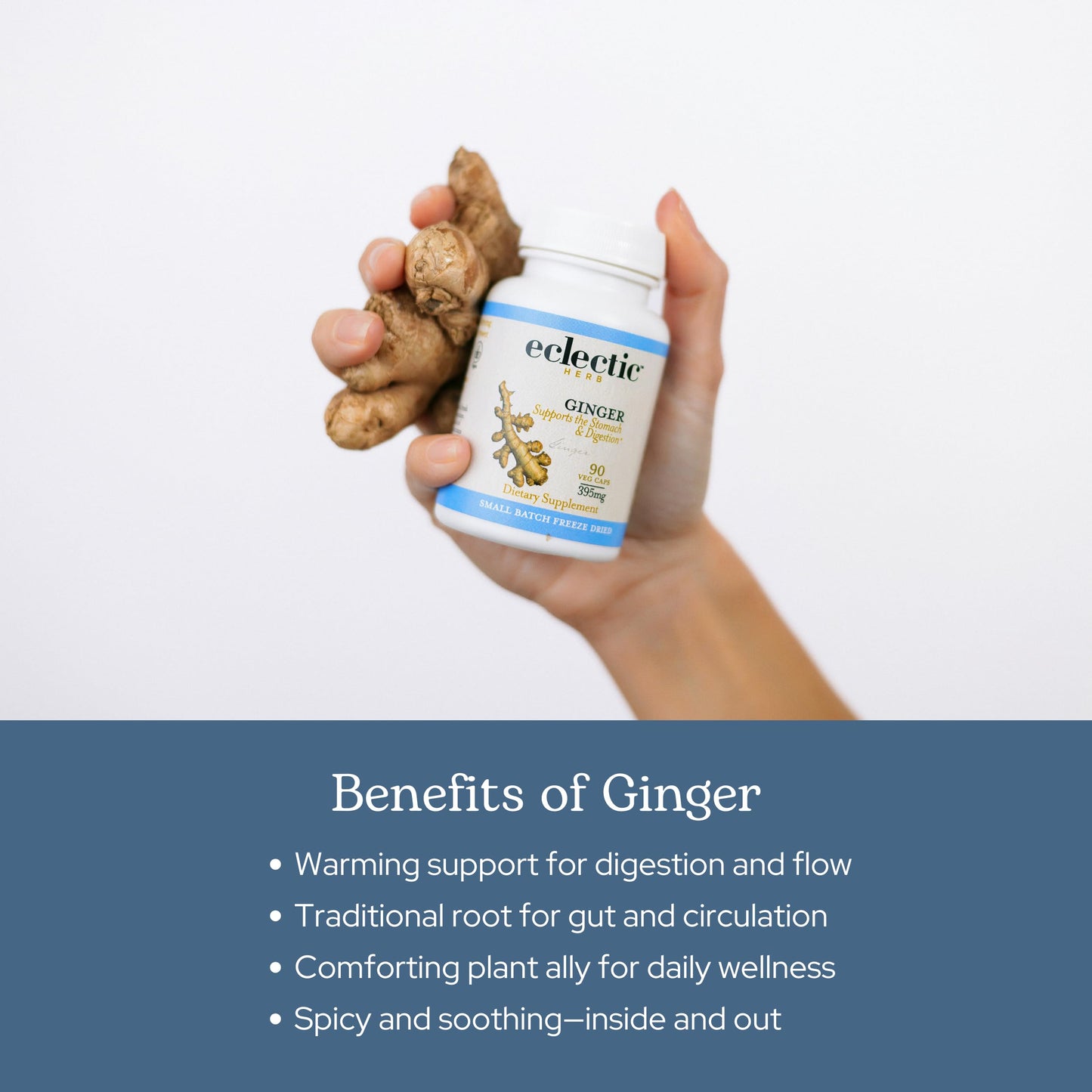 Eclectic Institute Raw Freeze-Dried Ginger - Non-GMO | Heart & Digestive Health | 90 CT