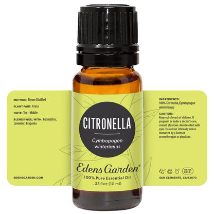 Edens Garden Citronella Essential Oil – 100% Pure Premium Grade, Undiluted, 10 ml